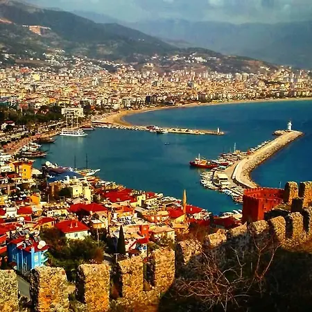 Alanya Ocean Palm View 卡吉柯克